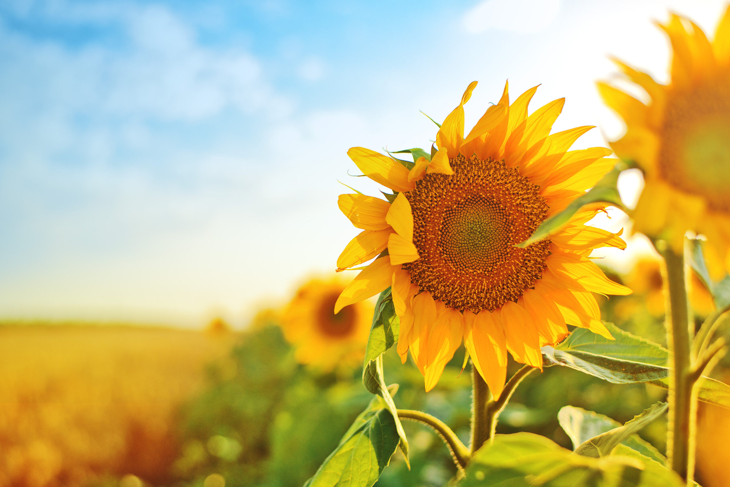 Finding a Support Group | LCG&L